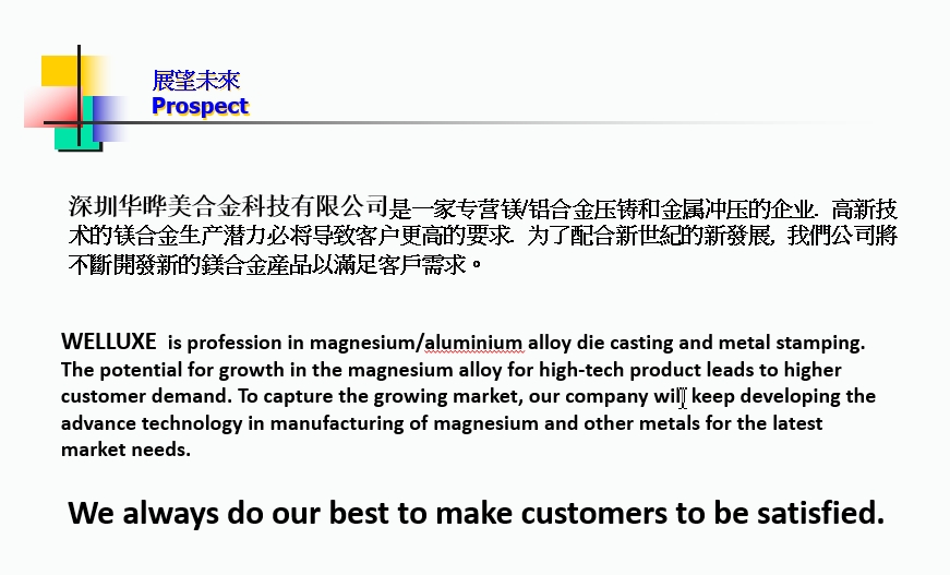 公司愿景 公司愿景